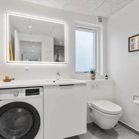 9951-hvide-sande-langsand-206 펜션